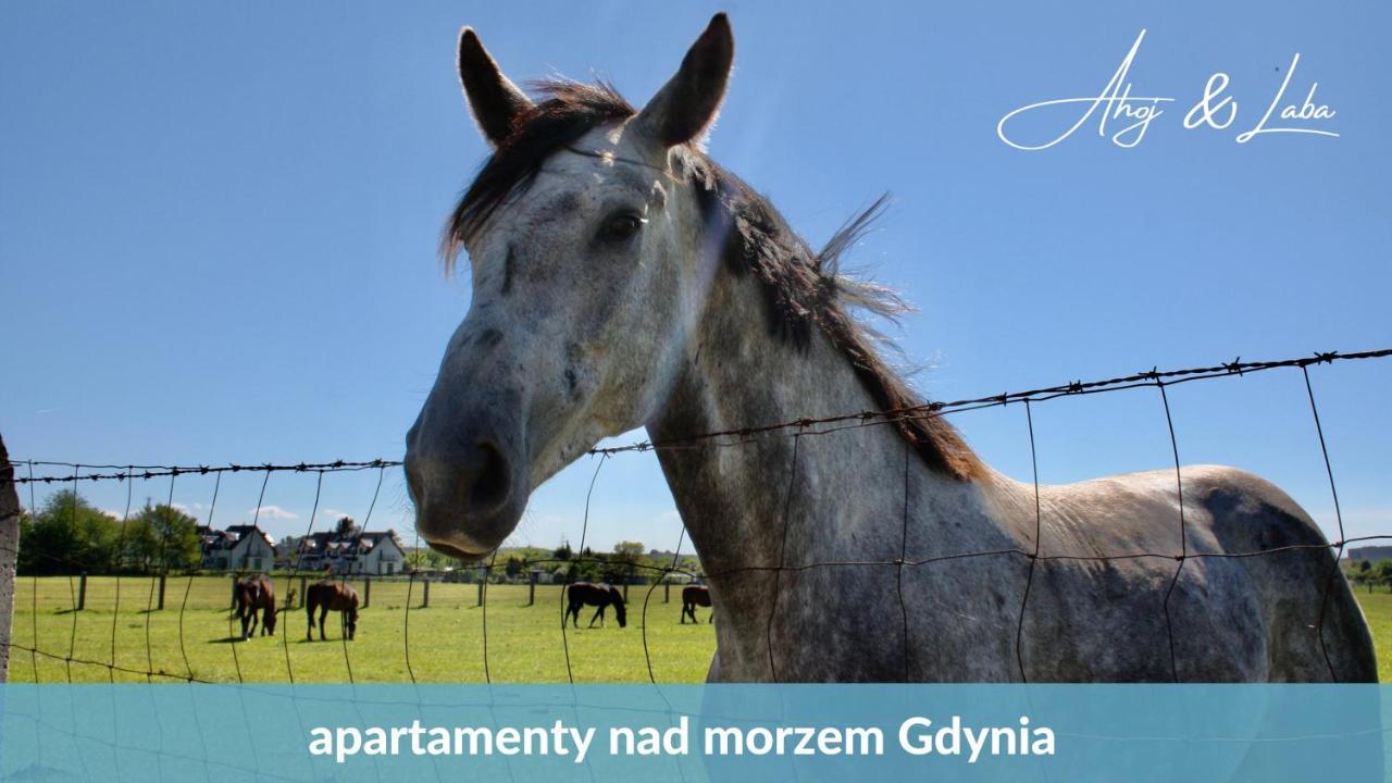 Laba - Basen, Blisko Plazy, Cisza, Taras, Parking, Bezplatne Wifi, Wyjatkowy! Apartment Gdynia Ngoại thất bức ảnh