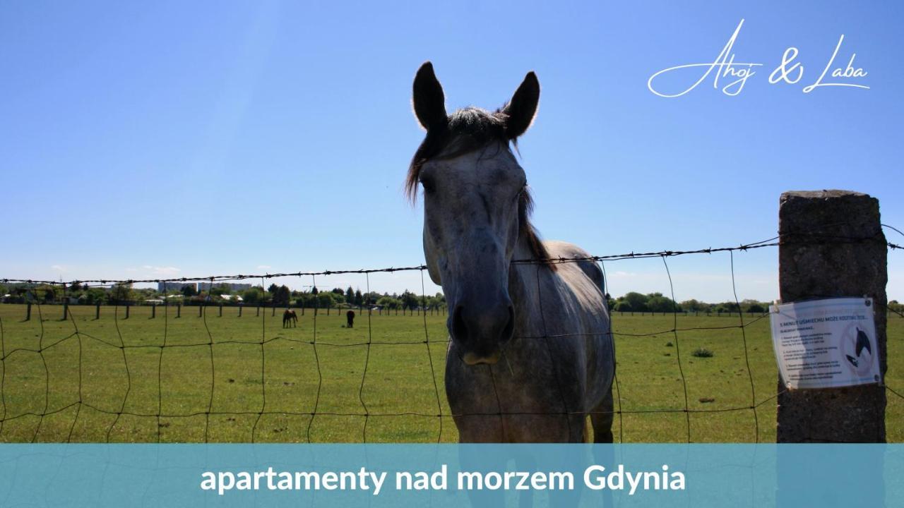 Laba - Basen, Blisko Plazy, Cisza, Taras, Parking, Bezplatne Wifi, Wyjatkowy! Apartment Gdynia Ngoại thất bức ảnh