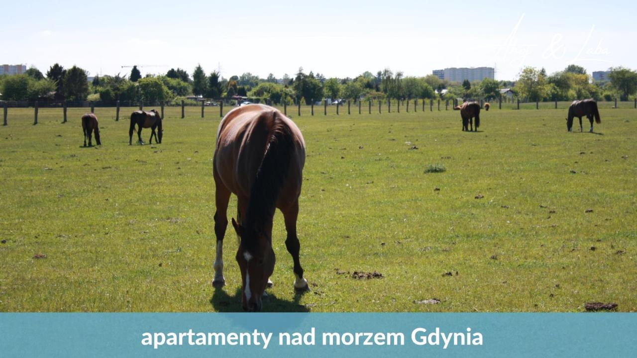 Laba - Basen, Blisko Plazy, Cisza, Taras, Parking, Bezplatne Wifi, Wyjatkowy! Apartment Gdynia Ngoại thất bức ảnh